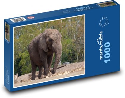 Slon - Afrika, cicavec - Puzzle 1000 dielikov, rozmer 60x46 cm