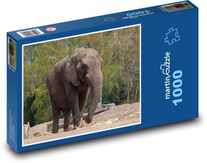 Słoń - Afryka, ssak - Puzzle 1000 elementów, rozmiar 60x46 cm