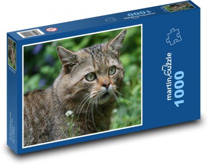 Wild cat - forest animal, predator - Puzzle 1000 pieces, size 60x46 cm 