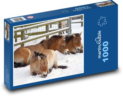 Divoký kůň - savec, sníh - puzzle 1000 dílků