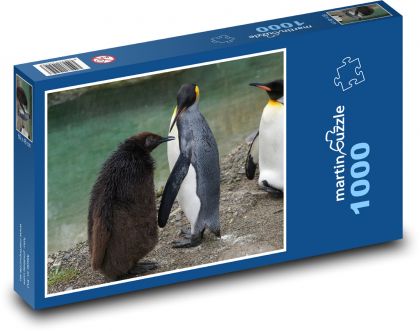 Tučniak - vták, zviera - Puzzle 1000 dielikov, rozmer 60x46 cm