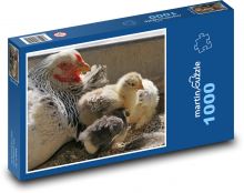Sliepky - kura, hydina Puzzle 1000 dielikov - 60 x 46 cm 
