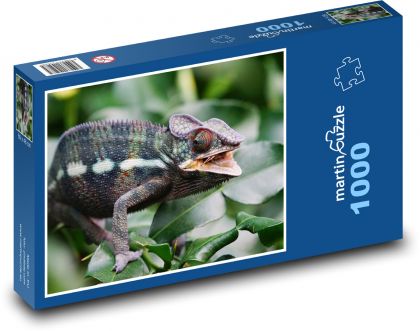 Chameleón - jašter, zviera - Puzzle 1000 dielikov, rozmer 60x46 cm