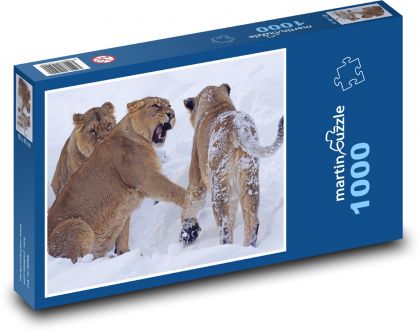 Lioness - snow, zoo - Puzzle 1000 pieces, size 60x46 cm 