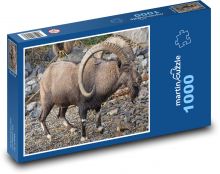 Kozoroh - zvíře, rohy Puzzle 1000 dílků - 60 x 46 cm