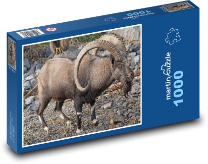 Koziorożec - zwierzę, rogi - Puzzle 1000 elementów, rozmiar 60x46 cm
