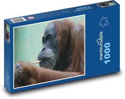 Orangutan - opice, primát - Puzzle 1000 dílků, rozměr 60x46 cm