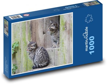 Divoké mačky - mláďatá, zoo - Puzzle 1000 dielikov, rozmer 60x46 cm