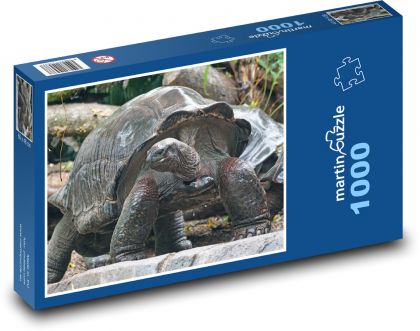 Želva obří - zvíře, zoo - Puzzle 1000 dílků, rozměr 60x46 cm