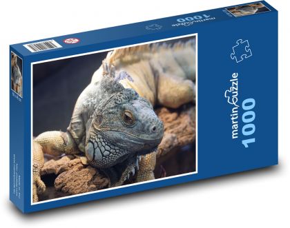 Leguán - ještěrka, zoo - Puzzle 1000 dílků, rozměr 60x46 cm