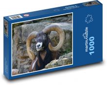 Muflon - ovce, zvíře Puzzle 1000 dílků - 60 x 46 cm