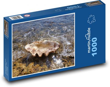 Olbrzymie małże - plaża, morze - Puzzle 1000 elementów, rozmiar 60x46 cm