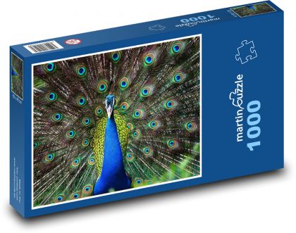 Páv - pták, zvíře - Puzzle 1000 dílků, rozměr 60x46 cm