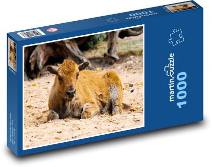 Buffalo - wild animal, calf - Puzzle 1000 pieces, size 60x46 cm 