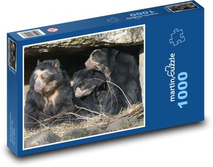 Medvěd brýlatý - rodina, zoo - puzzle 1000 dílků