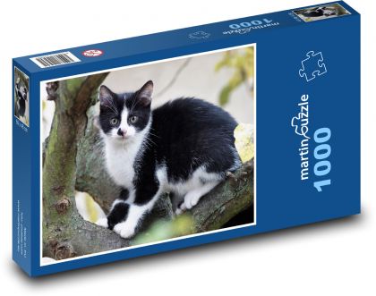 Mačiatko - mačka, maznáčik - Puzzle 1000 dielikov, rozmer 60x46 cm