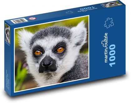 Małpa - lemur, zwierzę - Puzzle 1000 elementów, rozmiar 60x46 cm