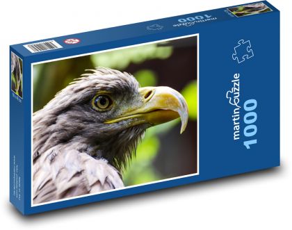 Eagle - bird of prey - Puzzle 1000 pieces, size 60x46 cm 