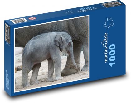 Asijský slon - mládě, savec - Puzzle 1000 dílků, rozměr 60x46 cm
