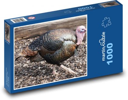 Turkey - bird, animal - Puzzle 1000 pieces, size 60x46 cm 