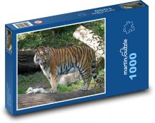 Tiger - predator, big cat Puzzle 1000 pieces - 60 x 46 cm 