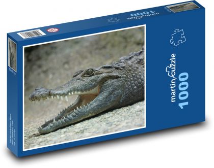 Krokodíl - jašter, zuby - Puzzle 1000 dielikov, rozmer 60x46 cm