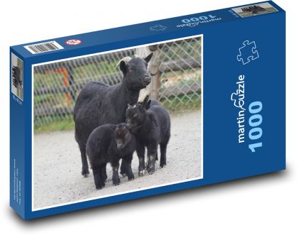 Zwergziege - Haustier - Puzzle - 1000 Teile