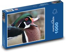Kačica - vták, zviera Puzzle 1000 dielikov - 60 x 46 cm 