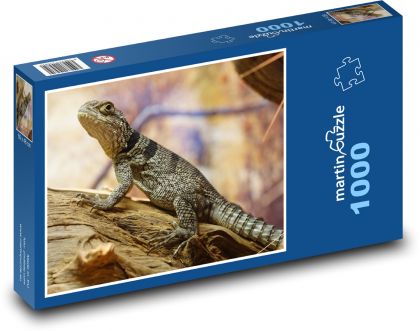 Iguana - jaszczurka, gad - Puzzle 1000 elementów, rozmiar 60x46 cm