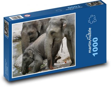 Slon - mláďa, rodina - Puzzle 1000 dielikov, rozmer 60x46 cm