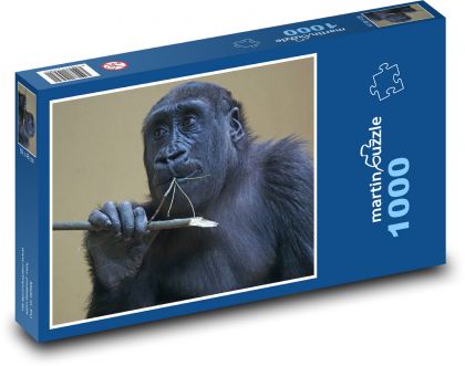 Gorila - opice, zvíře - Puzzle 1000 dílků, rozměr 60x46 cm