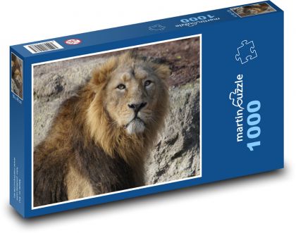 Lew - drapieżnik, bestia - Puzzle 1000 elementów, rozmiar 60x46 cm