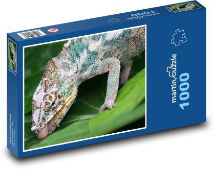 Kamelon - jaszczurka, zwierzę - Puzzle 1000 elementów, rozmiar 60x46 cm