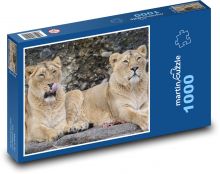 Löwe - Löwin, Raubtier Puzzle 1000 Teile - 60 x 46 cm