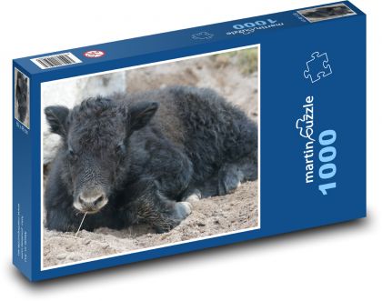 Yak - domácí zvíře, tele - Puzzle 1000 dílků, rozměr 60x46 cm