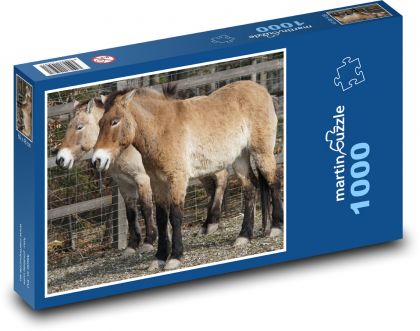 Převalský kůň - divoký kůň, savec - Puzzle 1000 dílků, rozměr 60x46 cm