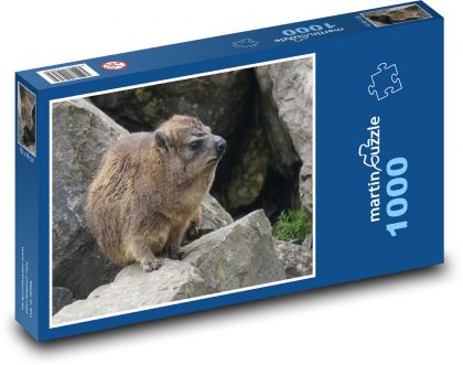 Daman - zviera, Afrika - Puzzle 1000 dielikov, rozmer 60x46 cm
