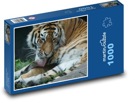 Tiger - mačka, zviera - Puzzle 1000 dielikov, rozmer 60x46 cm