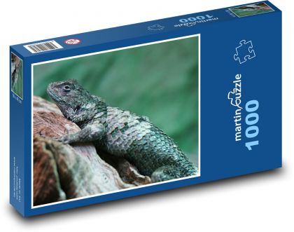 Iguana - reptile, animal - Puzzle 1000 pieces, size 60x46 cm 