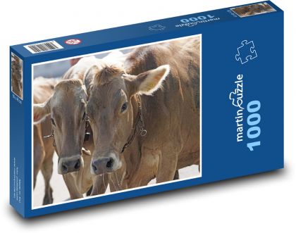 Kráva - domácí zvíře, farma - Puzzle 1000 dílků, rozměr 60x46 cm