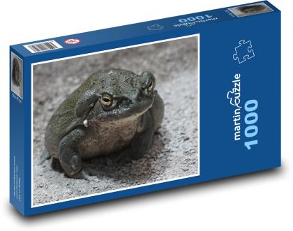 Ropucha - žaba, zviera - Puzzle 1000 dielikov, rozmer 60x46 cm