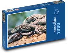 Varan - ještěr, plaz Puzzle 1000 - 60x46 cm