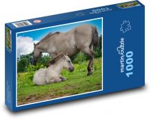 Kůň - kobyla, hříbě Puzzle 1000 - 60x46 cm