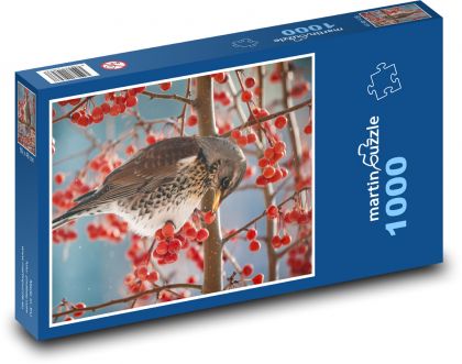 Thrush - bird, berry - Puzzle 1000 pieces, size 60x46 cm 