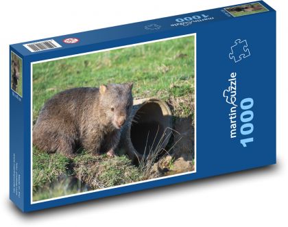 Wombat - zwierzę, zoo - Puzzle 1000 elementów, rozmiar 60x46 cm
