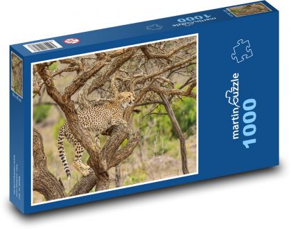 Gepard - safari, šelma - Puzzle 1000 dílků, rozměr 60x46 cm