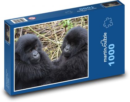 Gorila - mládě, zvířata - Puzzle 1000 dílků, rozměr 60x46 cm