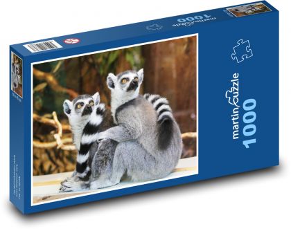 Lemur - zvíře, zoo - Puzzle 1000 dílků, rozměr 60x46 cm