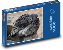 Dove - bird, animal Puzzle 1000 pieces - 60 x 46 cm 