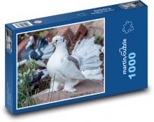 Bílá holubice - pták, zvíře Puzzle 1000 dílků - 60 x 46 cm